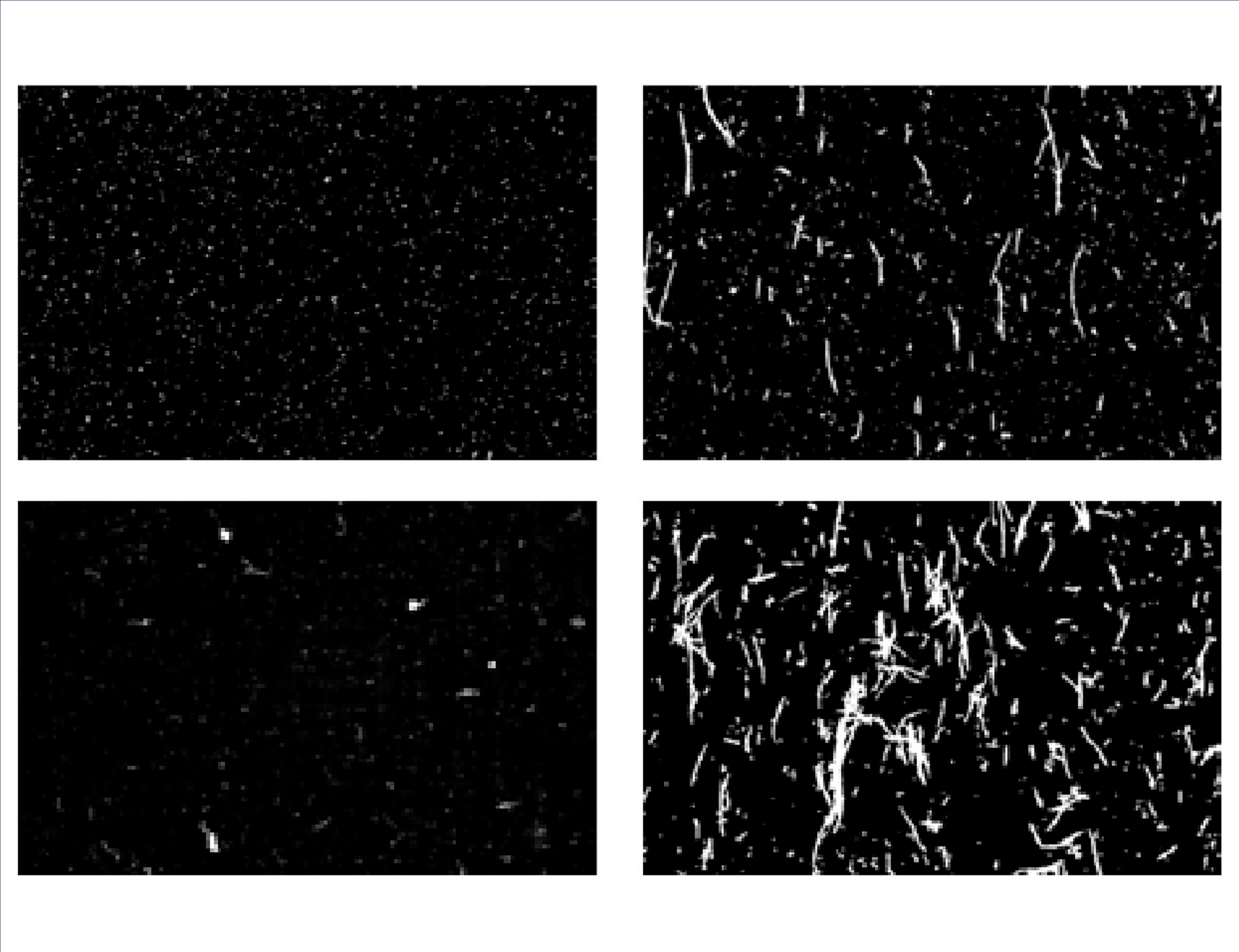 PAPER SURFACE DUST METER (poorly adhered particles) (LintView) | IDM Test